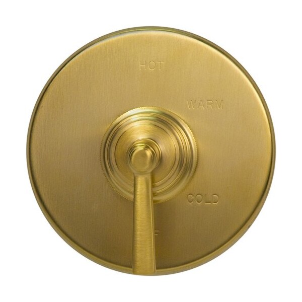 Newport Brass Coverplate Bp W/Div Assy in Satin Brass (Pvd) 2-224/04 - main